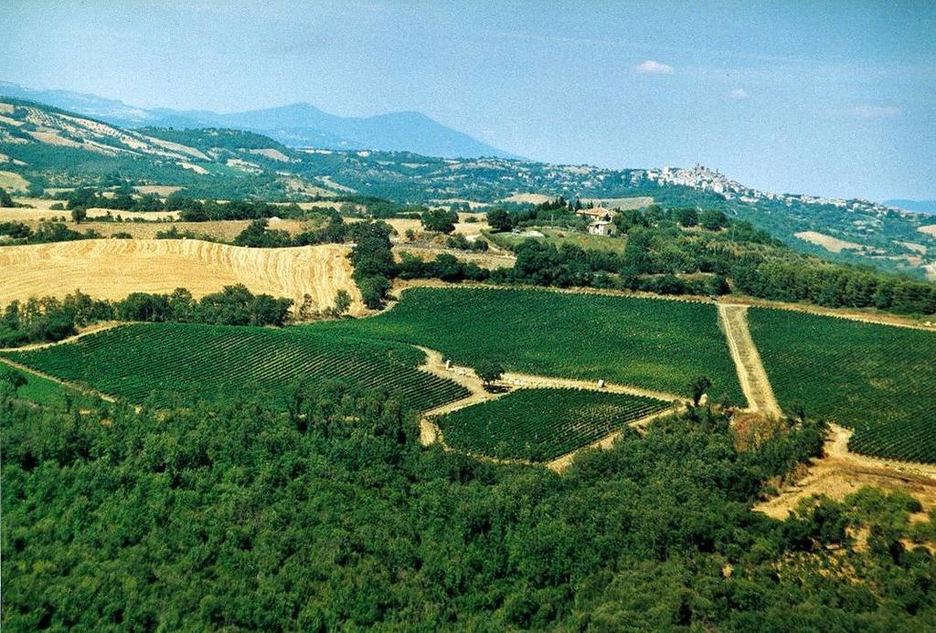 Fattoria Poggio Foco Villa Manciano Eksteriør bilde
