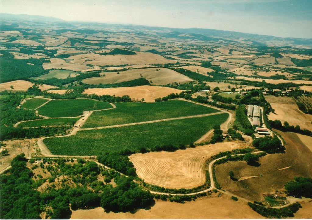 Fattoria Poggio Foco Villa Manciano Eksteriør bilde