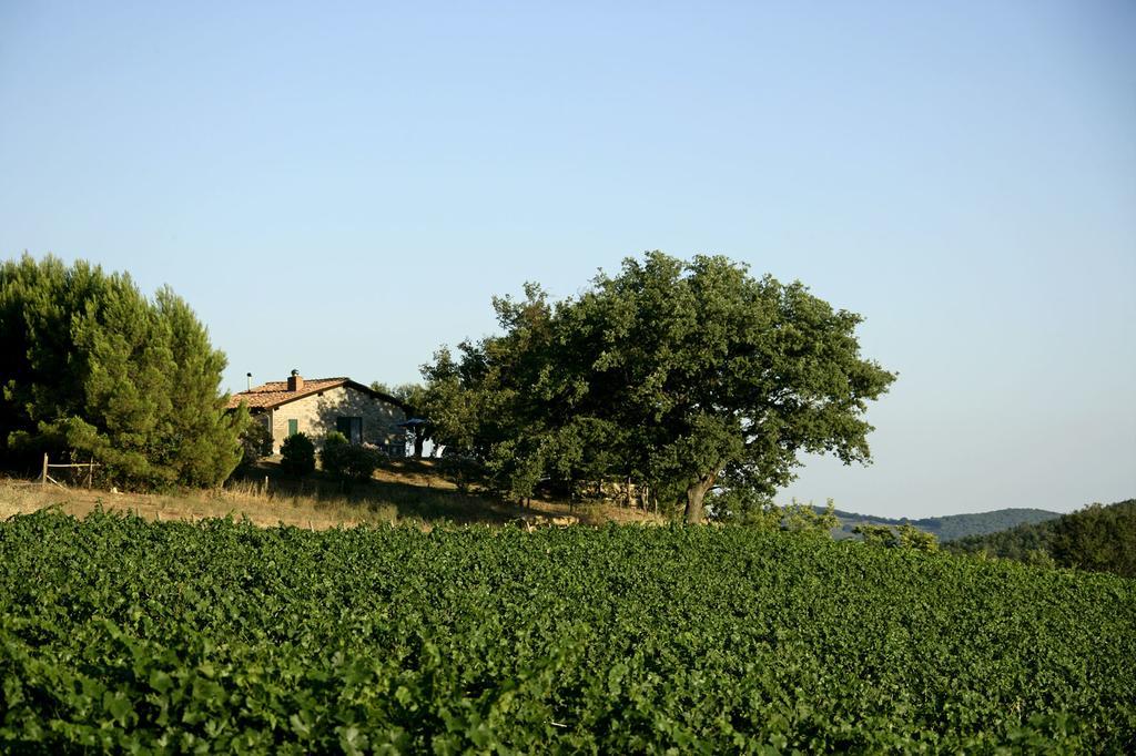 Fattoria Poggio Foco Villa Manciano Rom bilde